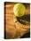 Tennis Ball and Wood Racket-Tom Grill-Stretched Canvas