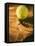 Tennis Ball and Wood Racket-Tom Grill-Framed Stretched Canvas