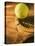 Tennis Ball and Wood Racket-Tom Grill-Stretched Canvas