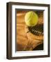 Tennis Ball and Wood Racket-Tom Grill-Framed Photographic Print