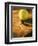 Tennis Ball and Wood Racket-Tom Grill-Framed Photographic Print