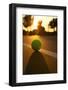 Tennis Ball Backlit at Sunset for Effect and Glow-33ft-Framed Photographic Print