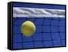 Tennis Ball Hitting Net-null-Framed Stretched Canvas