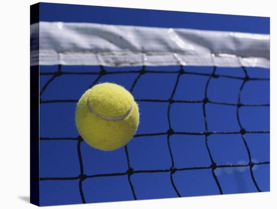 Tennis Ball Hitting Net-null-Stretched Canvas