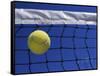 Tennis Ball Hitting Net-null-Framed Stretched Canvas