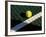 Tennis Ball on Court with Shadows-null-Framed Photographic Print