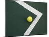 Tennis Ball on Court-null-Mounted Premium Photographic Print