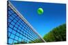 Tennis Ball on Net's Edge-mikdam-Stretched Canvas