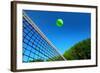 Tennis Ball on Net's Edge-mikdam-Framed Photographic Print