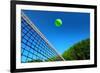 Tennis Ball on Net's Edge-mikdam-Framed Photographic Print