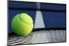 Tennis Ball on Racket Strings-33ft-Mounted Photographic Print