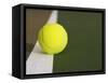 Tennis ball on white boundary stripe-Monalyn Gracia-Framed Stretched Canvas