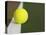 Tennis ball on white boundary stripe-Monalyn Gracia-Stretched Canvas