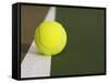 Tennis ball on white boundary stripe-Monalyn Gracia-Framed Stretched Canvas