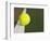Tennis ball on white boundary stripe-Monalyn Gracia-Framed Photographic Print