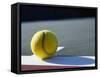 Tennis Ball-Mitch Diamond-Framed Stretched Canvas