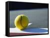 Tennis Ball-Mitch Diamond-Framed Stretched Canvas