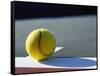 Tennis Ball-Mitch Diamond-Framed Stretched Canvas