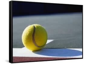 Tennis Ball-Mitch Diamond-Framed Stretched Canvas