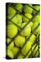 Tennis Balls at the Mediolanum Tennis in Milan-null-Stretched Canvas