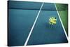 Tennis Court with Tennis Balls in Tennis Ball Basket Stand. Intentionally Shot in Surreal Tone.-optimarc-Stretched Canvas