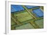 Tennis Courts, Albany, Auckland, North Island, New Zealand-David Wall-Framed Photographic Print