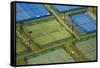 Tennis Courts, Albany, Auckland, North Island, New Zealand-David Wall-Framed Stretched Canvas