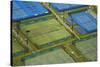 Tennis Courts, Albany, Auckland, North Island, New Zealand-David Wall-Stretched Canvas
