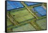 Tennis Courts, Albany, Auckland, North Island, New Zealand-David Wall-Framed Stretched Canvas
