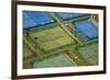 Tennis Courts, Albany, Auckland, North Island, New Zealand-David Wall-Framed Photographic Print