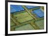 Tennis Courts, Albany, Auckland, North Island, New Zealand-David Wall-Framed Photographic Print