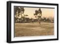 Black Frame