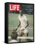 Tennis Player Arthur Ashe, September 20, 1968-Richard Meek-Framed Stretched Canvas