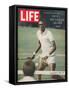 Tennis Player Arthur Ashe, September 20, 1968-Richard Meek-Framed Stretched Canvas