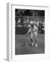Tennis Player Pierre Pellizza in Action-null-Framed Photographic Print