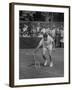 Tennis Player Pierre Pellizza in Action-null-Framed Photographic Print