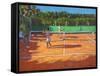 Tennis Practise , Cap d’Adge, France, 2013-Andrew Macara-Framed Stretched Canvas