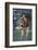 Tennis Pro John McEnroe-David Mcgough-Framed Photographic Print