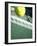 Tennis Racquet, Ball and Net-null-Framed Photographic Print