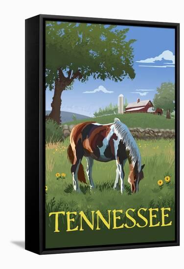 Tennsesse - Horse in Field-Lantern Press-Framed Stretched Canvas