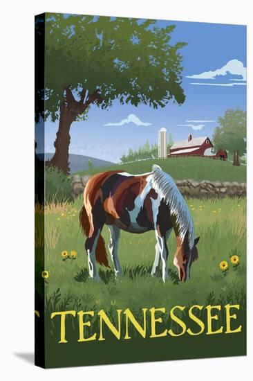 Tennsesse - Horse in Field-Lantern Press-Stretched Canvas