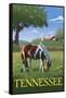 Tennsesse - Horse in Field-Lantern Press-Framed Stretched Canvas