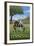 Tennsesse - Horse in Field-Lantern Press-Framed Art Print