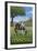 Tennsesse - Horse in Field-Lantern Press-Framed Art Print