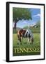 Tennsesse - Horse in Field-Lantern Press-Framed Art Print