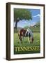 Tennsesse - Horse in Field-Lantern Press-Framed Art Print