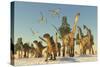 Tenontosaurus and Argentinosaurus Dinosaurs Migrating in Search of Water-Stocktrek Images-Stretched Canvas