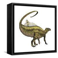 Tenontosaurus Dinosaur from the Cretaceous Period-null-Framed Stretched Canvas