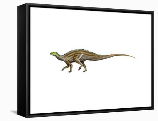 Tenontosaurus Dinosaur-null-Framed Stretched Canvas