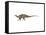 Tenontosaurus Dinosaur-null-Framed Stretched Canvas